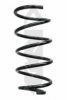 SPIDAN 86792 Coil Spring